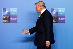Трамп оценил прогресс в переговорах по Украине