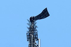 В МИД отреагировали на инцидент с российскими руферами в Нью-Йорке