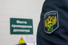 Набитые миллионами рублей чемоданы нашли у россиянина в аэропорту