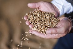Азиатская страна захотела больше покупать у России